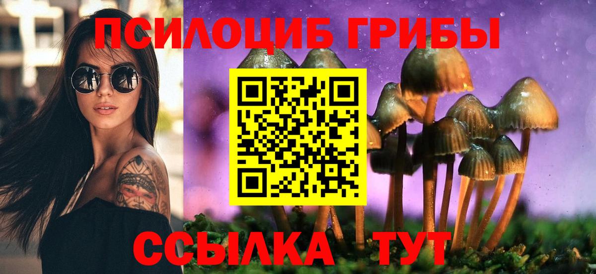 Электрогорск  Галлюциногенные грибы GOLDEN TEACHER  где можно купить   Вход с VPN 